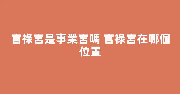 官祿宮是事業宮嗎 官祿宮在哪個位置